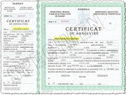 Diploma