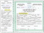 Diploma
