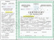 Diploma